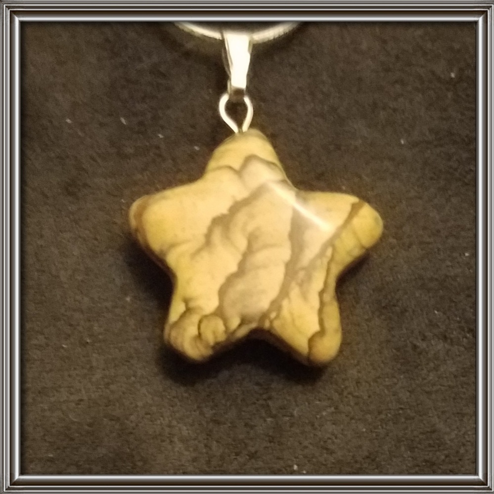 Picture Jasper Star pendant w/sterling necklace